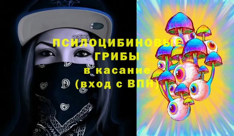 Галлюциногенные грибы Psilocybe  KRAKEN онион  Кириллов 